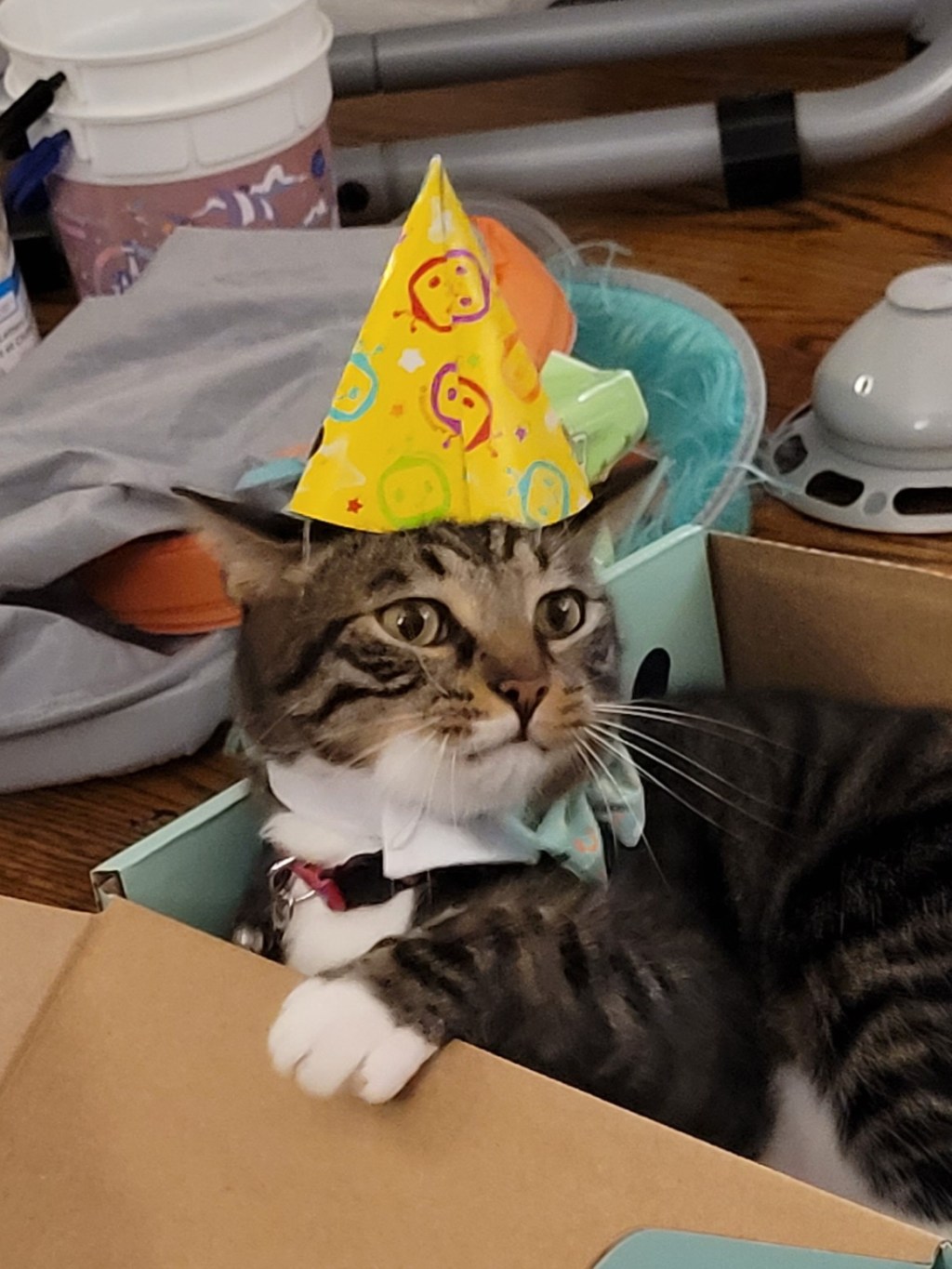 Kevin’s 2nd Birthday